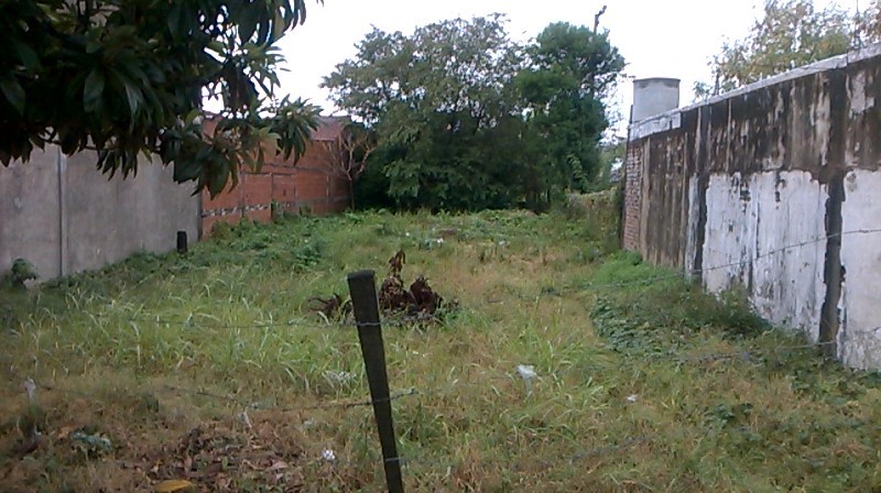 Eva peron 1500 · Gualeguaychú — foto 5