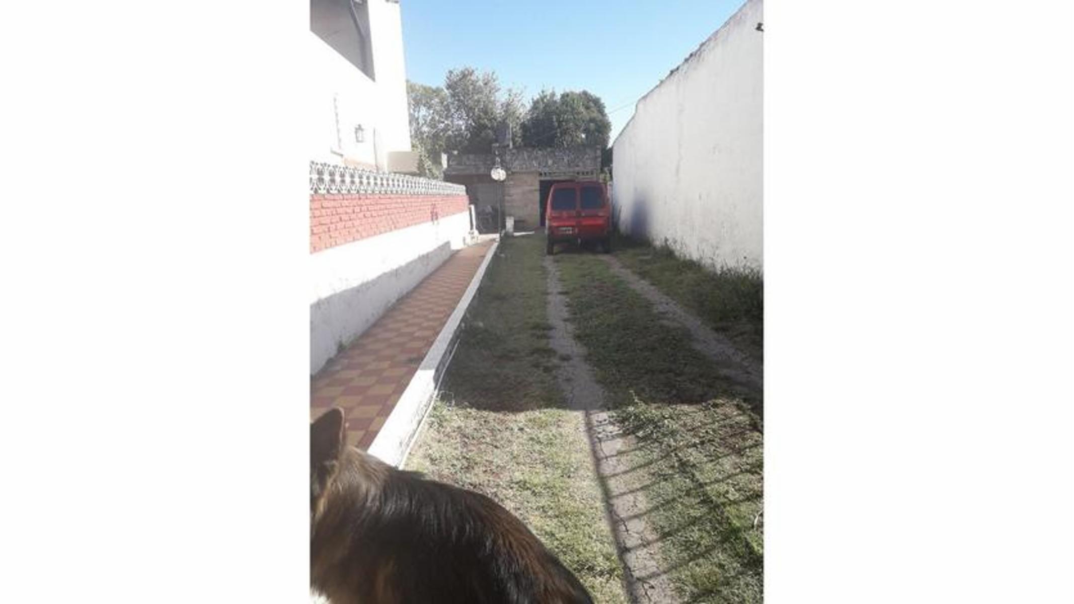 Castelli 1000 · Morón — foto 16