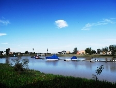 Italia · Tigre — foto 3