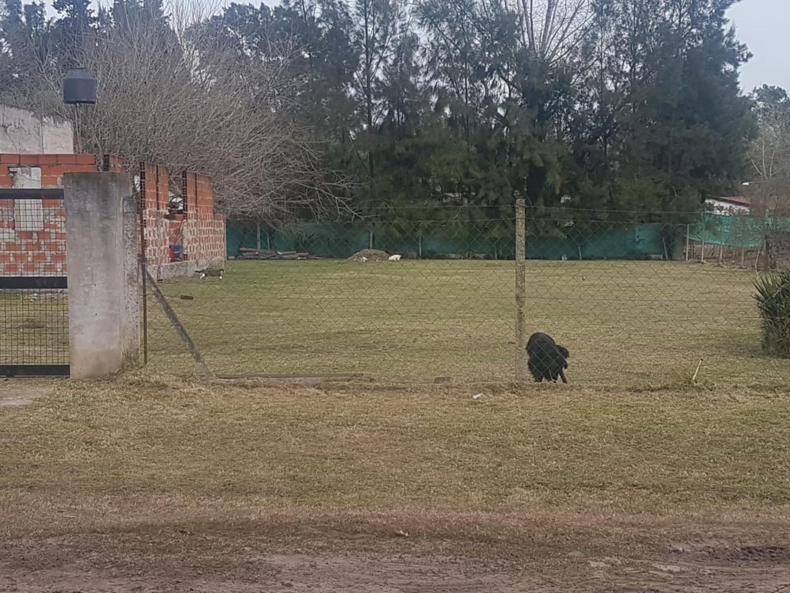 Islas Orcadas 200 · Moreno — foto 8