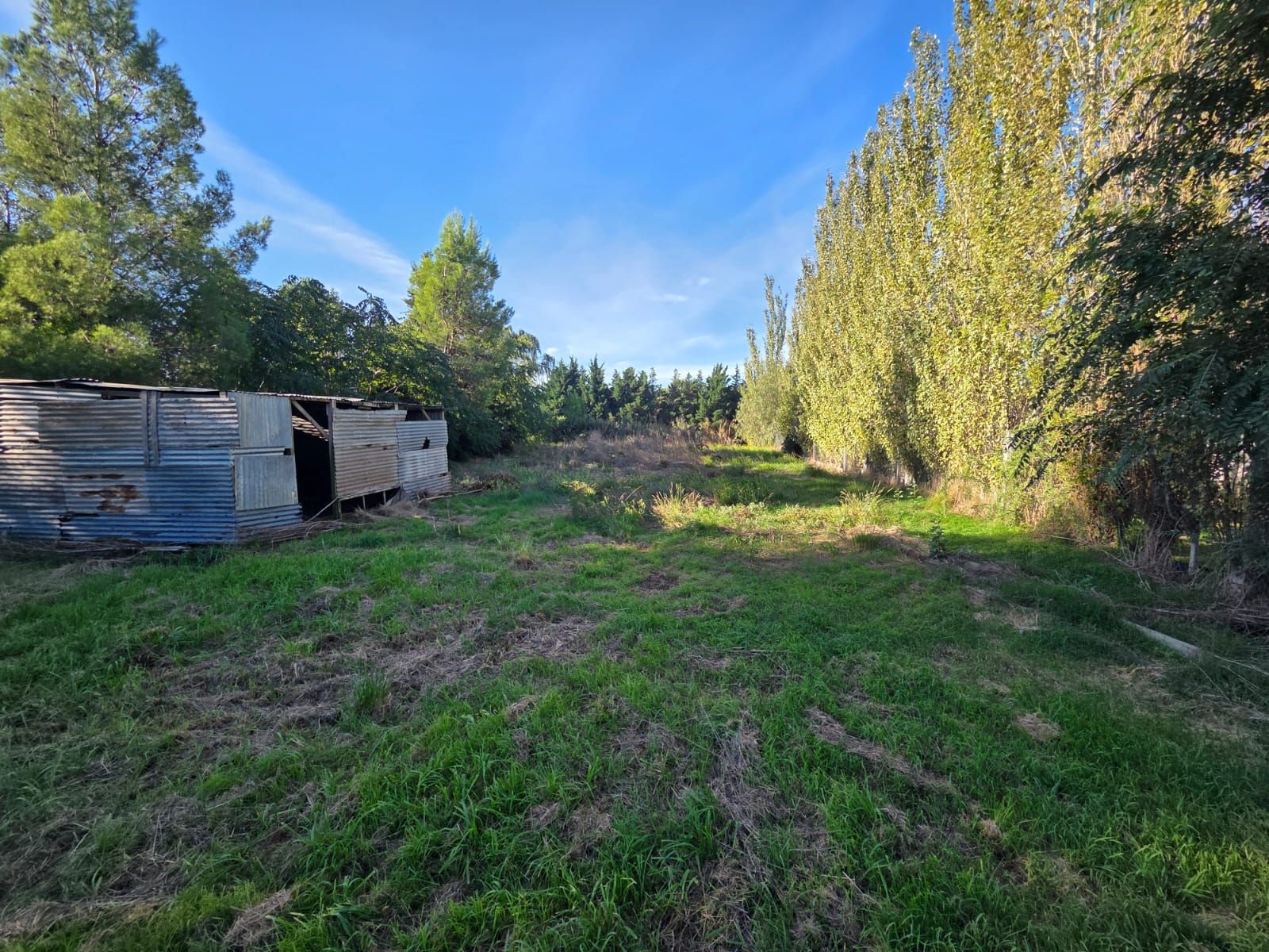 Santiago Derqui 1253 · Bahia Blanca — foto 3