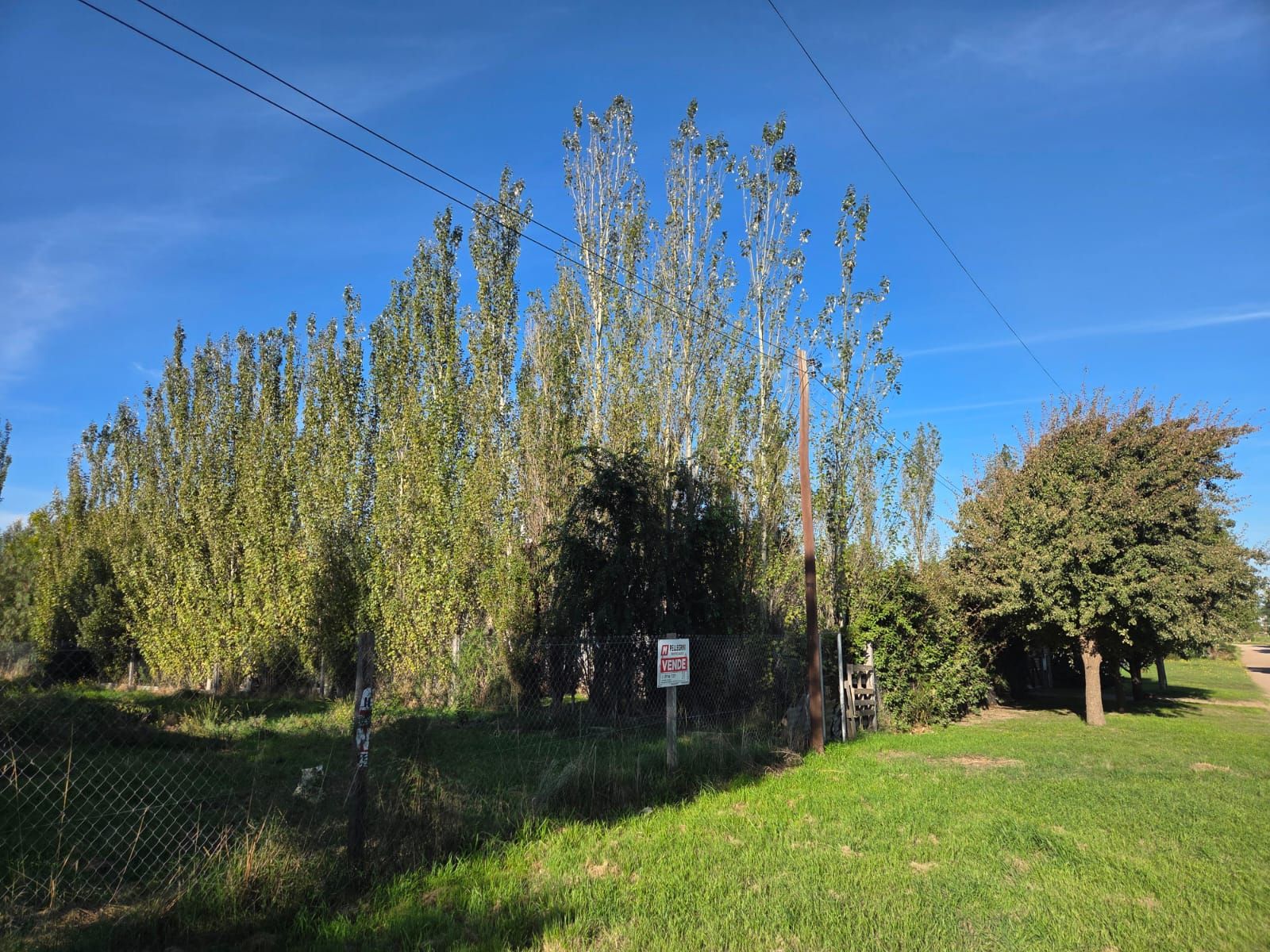 Santiago Derqui 1253 · Bahia Blanca — foto 4