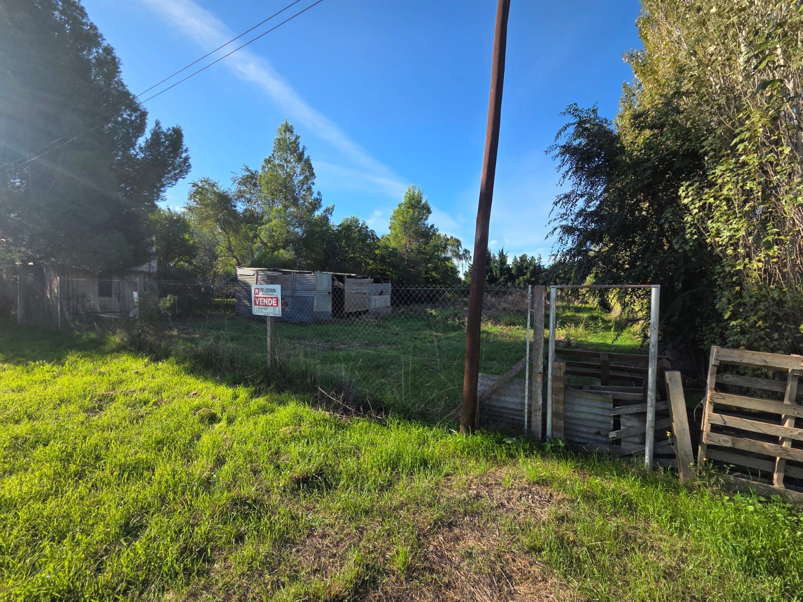 Santiago Derqui 1253 · Bahia Blanca — foto 5
