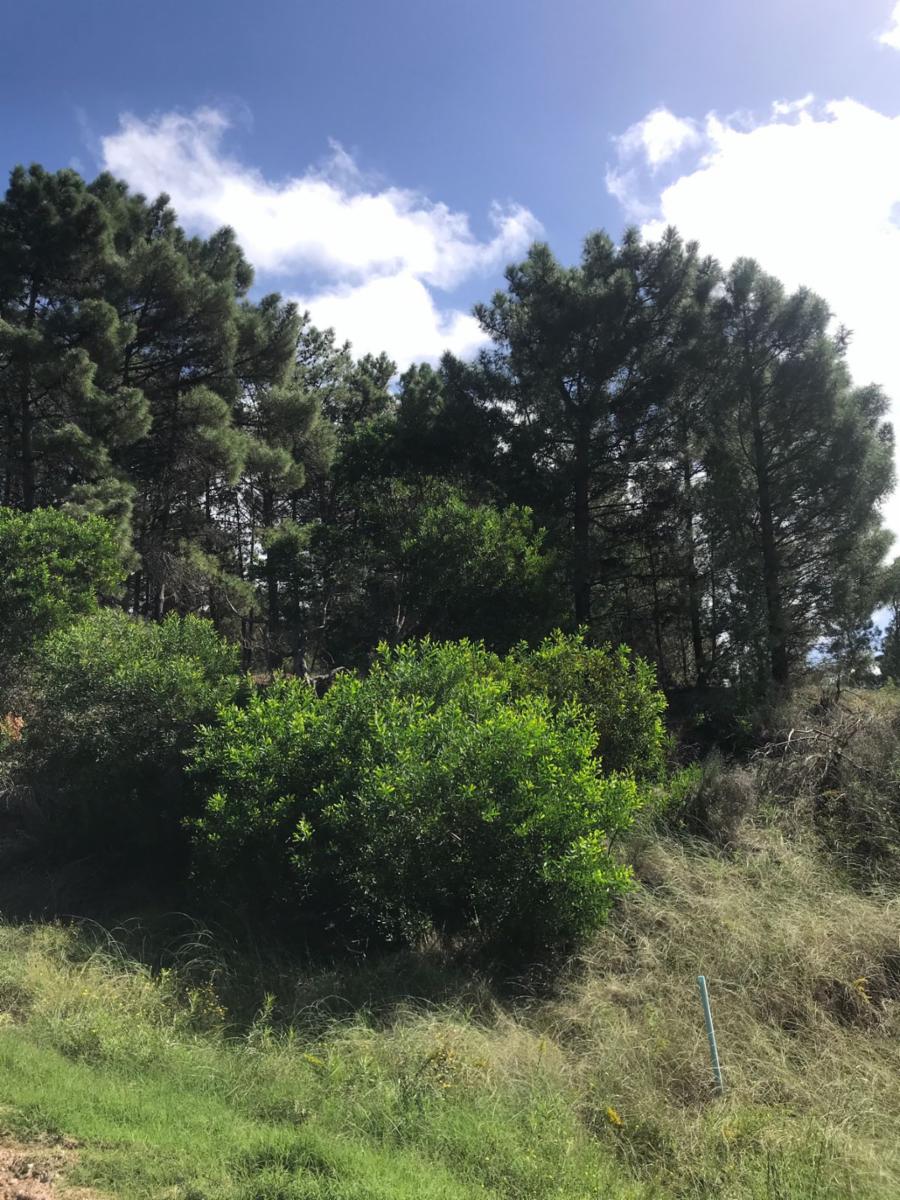 Las Urracas · Monte Hermoso — foto 3
