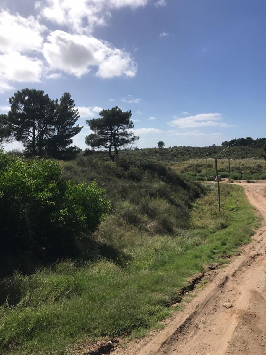 Las Urracas · Monte Hermoso — foto 5