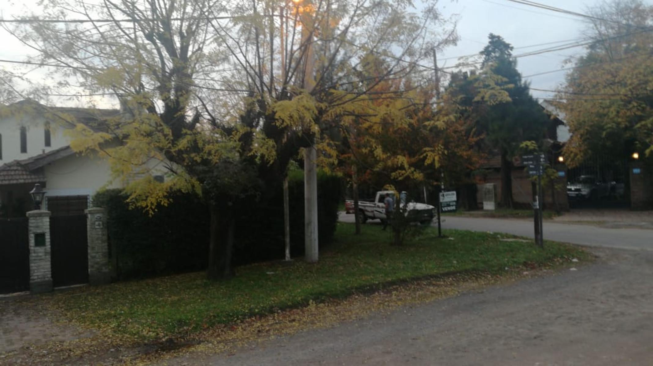 MOINE AL 2500 · San Miguel — foto 3