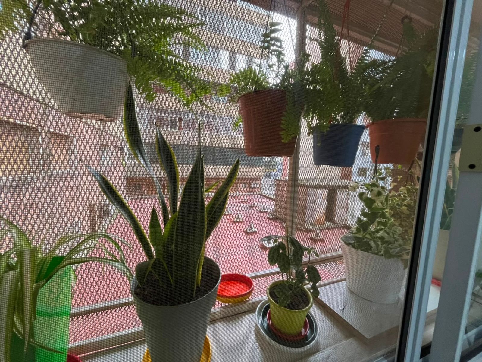 Donizetti 41 · Villa Luro — foto 4