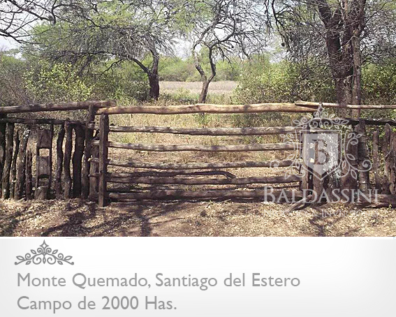 CAMPO DE 2000 HAS EN MONTE QUEMADO · Copo — foto 3