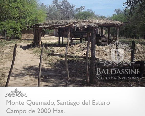 CAMPO DE 2000 HAS EN MONTE QUEMADO · Copo — foto 4