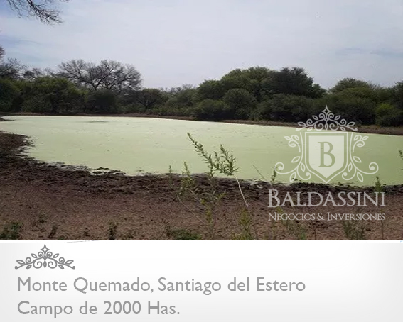CAMPO DE 2000 HAS EN MONTE QUEMADO · Copo — foto 6