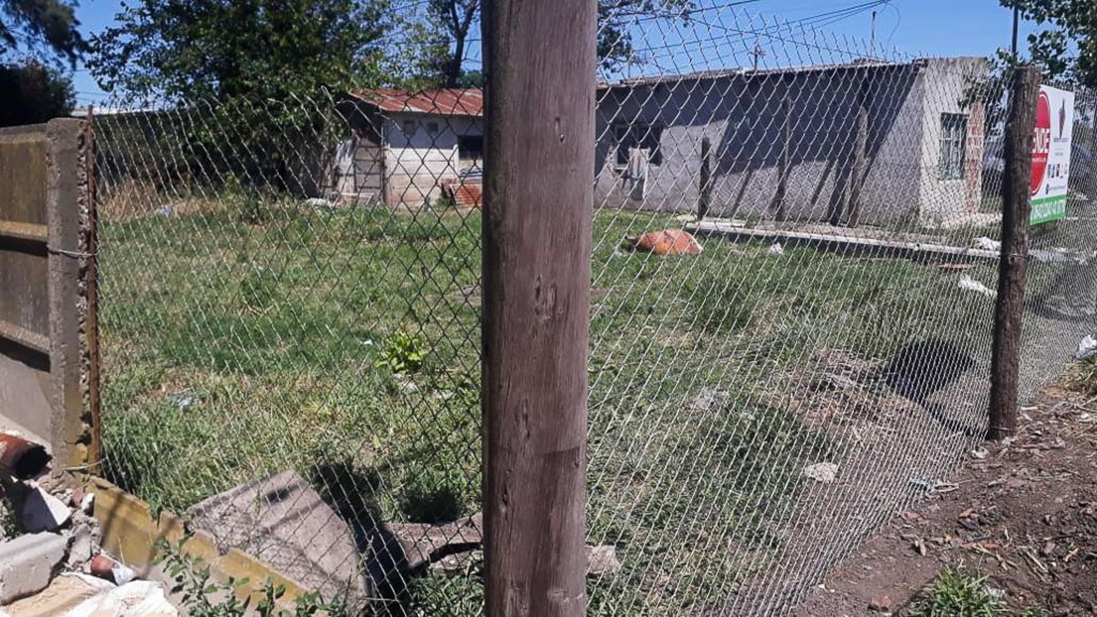 Calle Bortolino esq. 225 · General Belgrano — foto 5