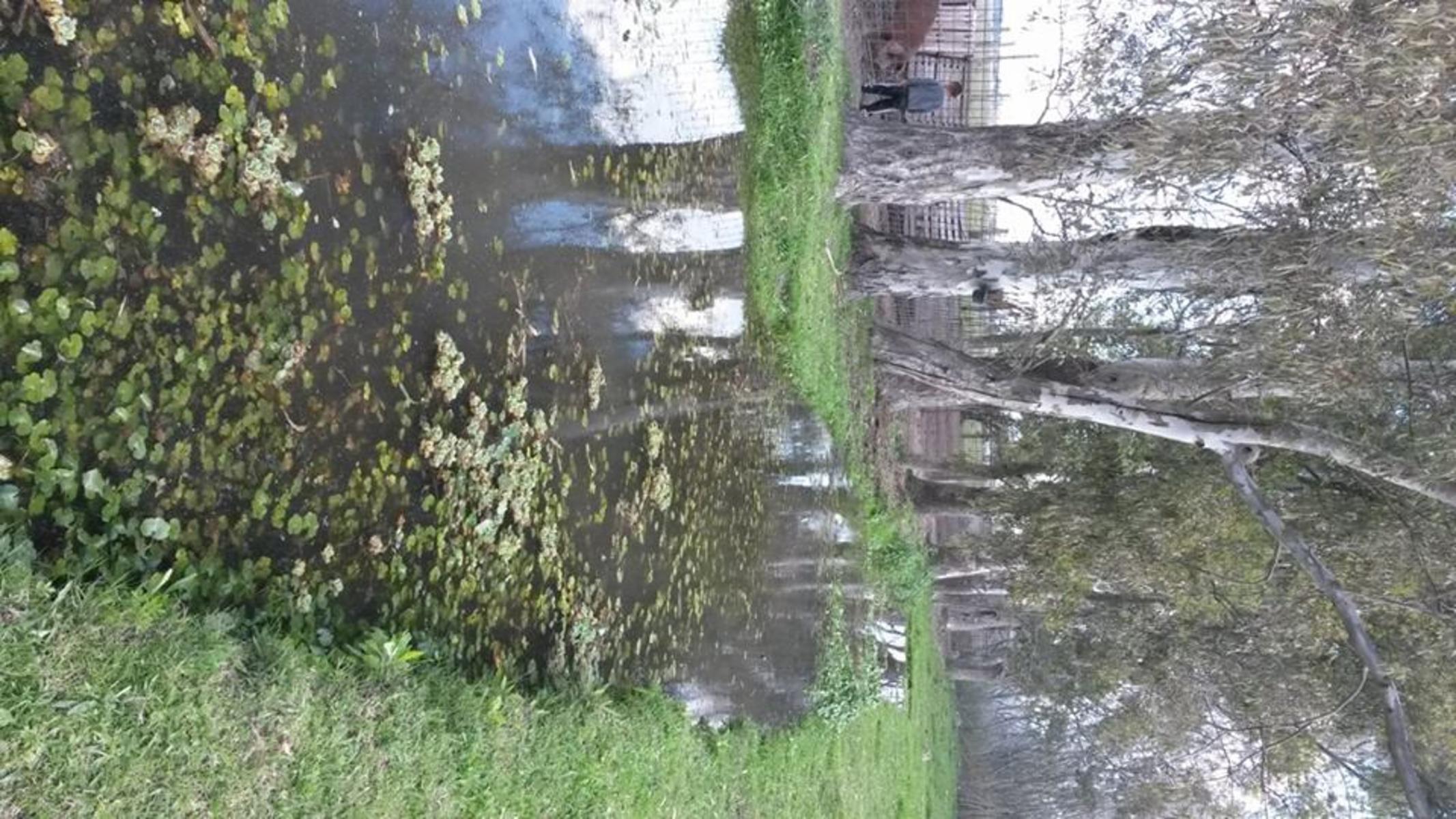 CALLE 1652 · Florencio Varela — foto 5
