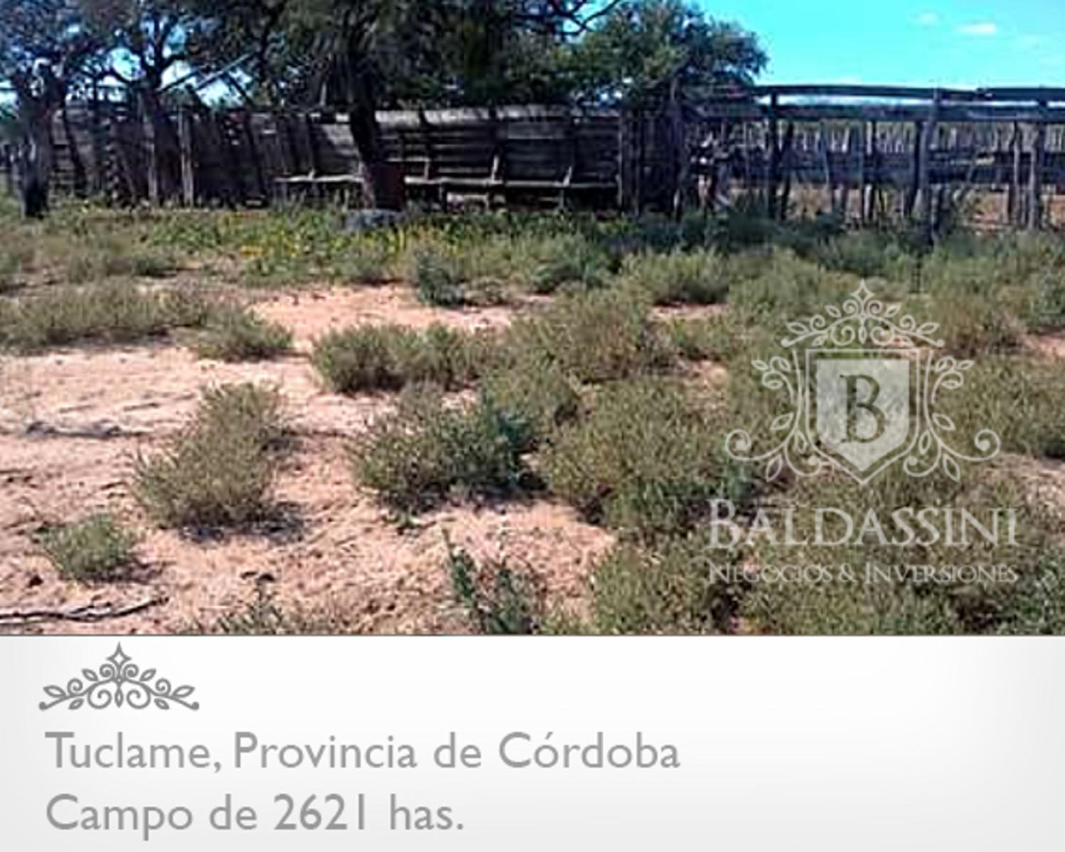 CAMPO GANADERO EN TUCLAME DE 2640 HAS