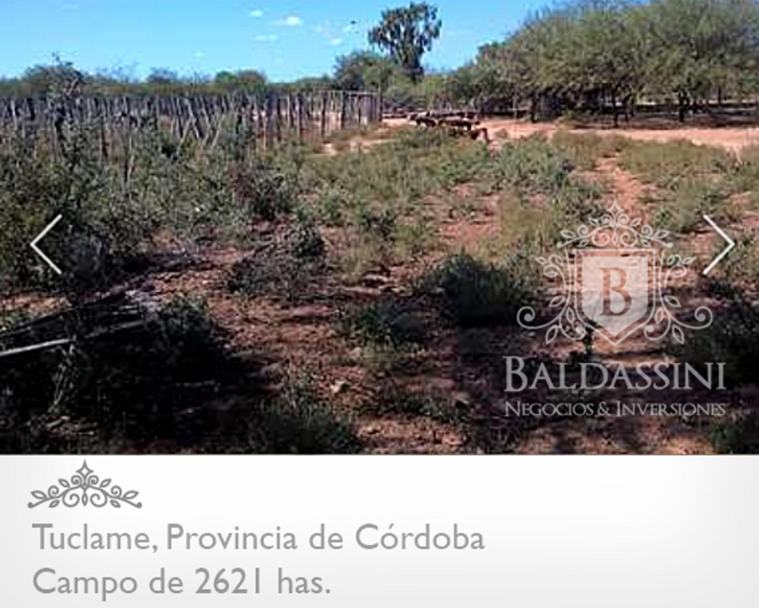 Campo de 2640 has en Tuclame - Ruta 38 km 182 · Cruz del Eje — foto 3