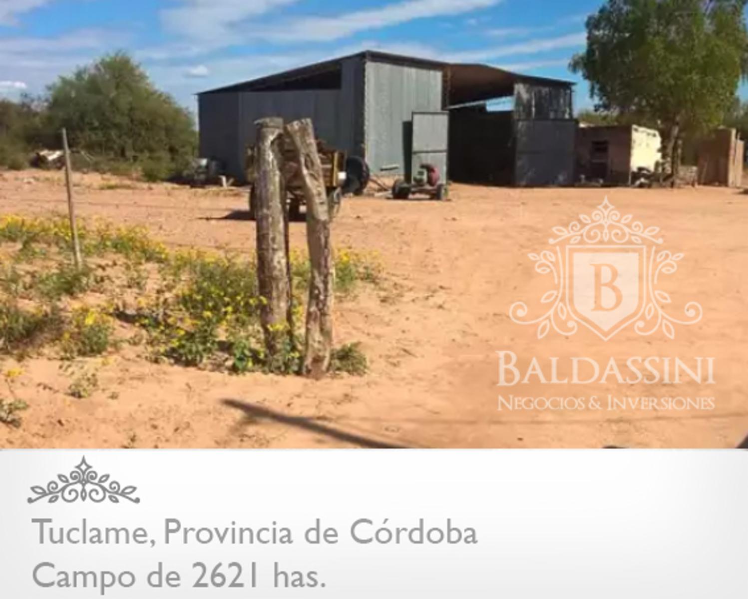 Campo de 2640 has en Tuclame - Ruta 38 km 182 · Cruz del Eje — foto 4