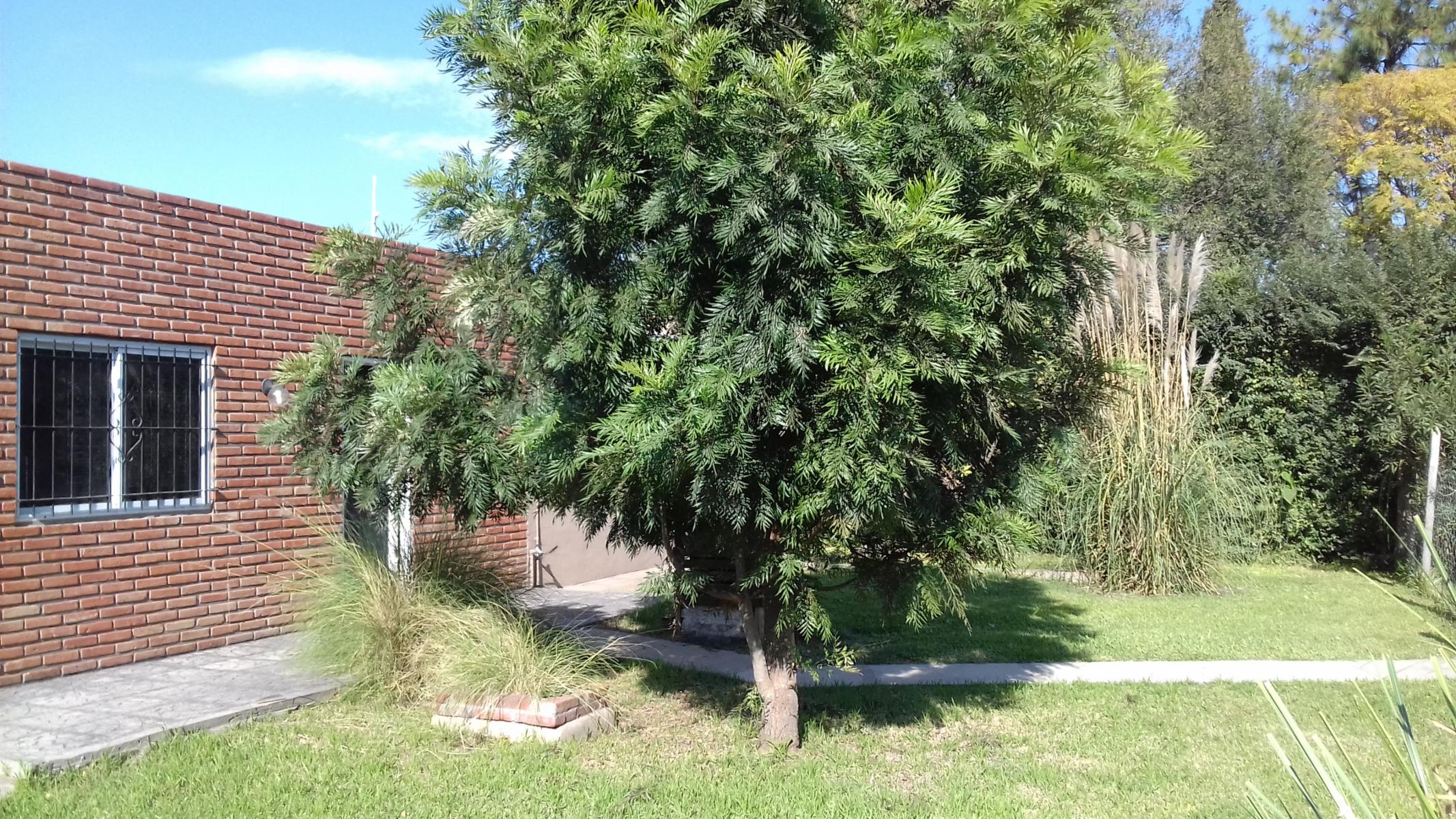 Belgrano · Moreno — foto 13
