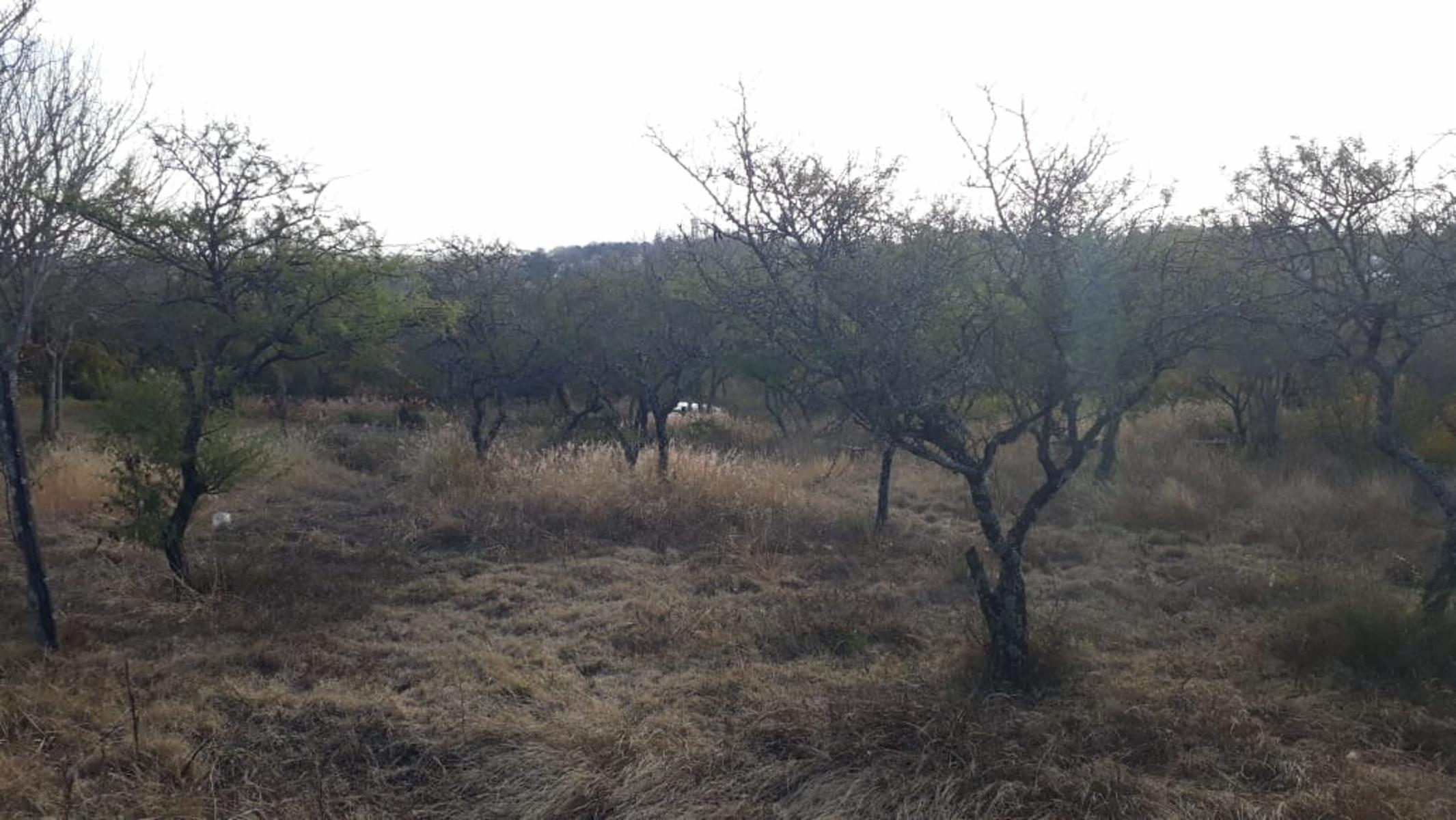 Del Vallle · Punilla — foto 11