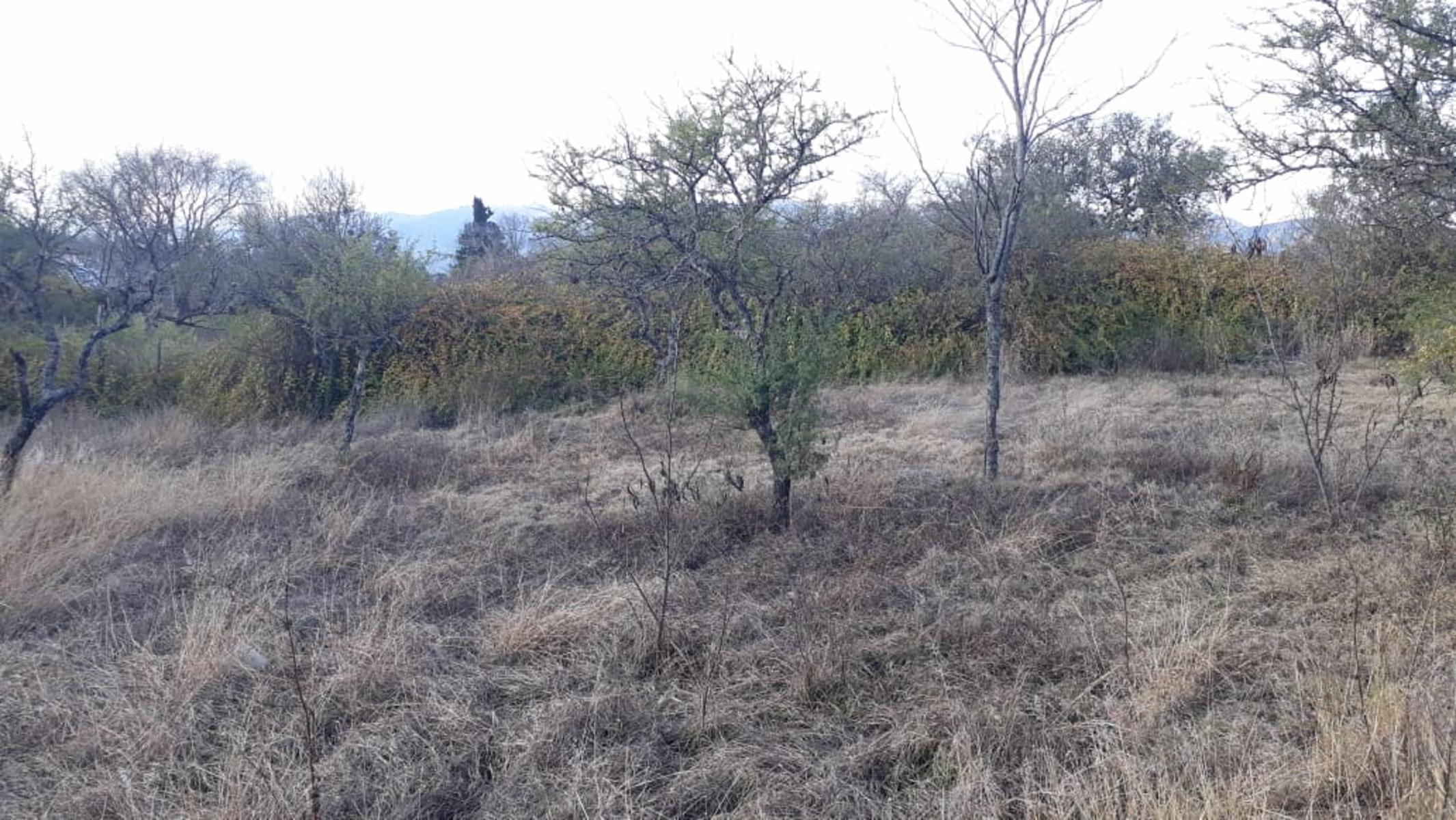 Del Vallle · Punilla — foto 5