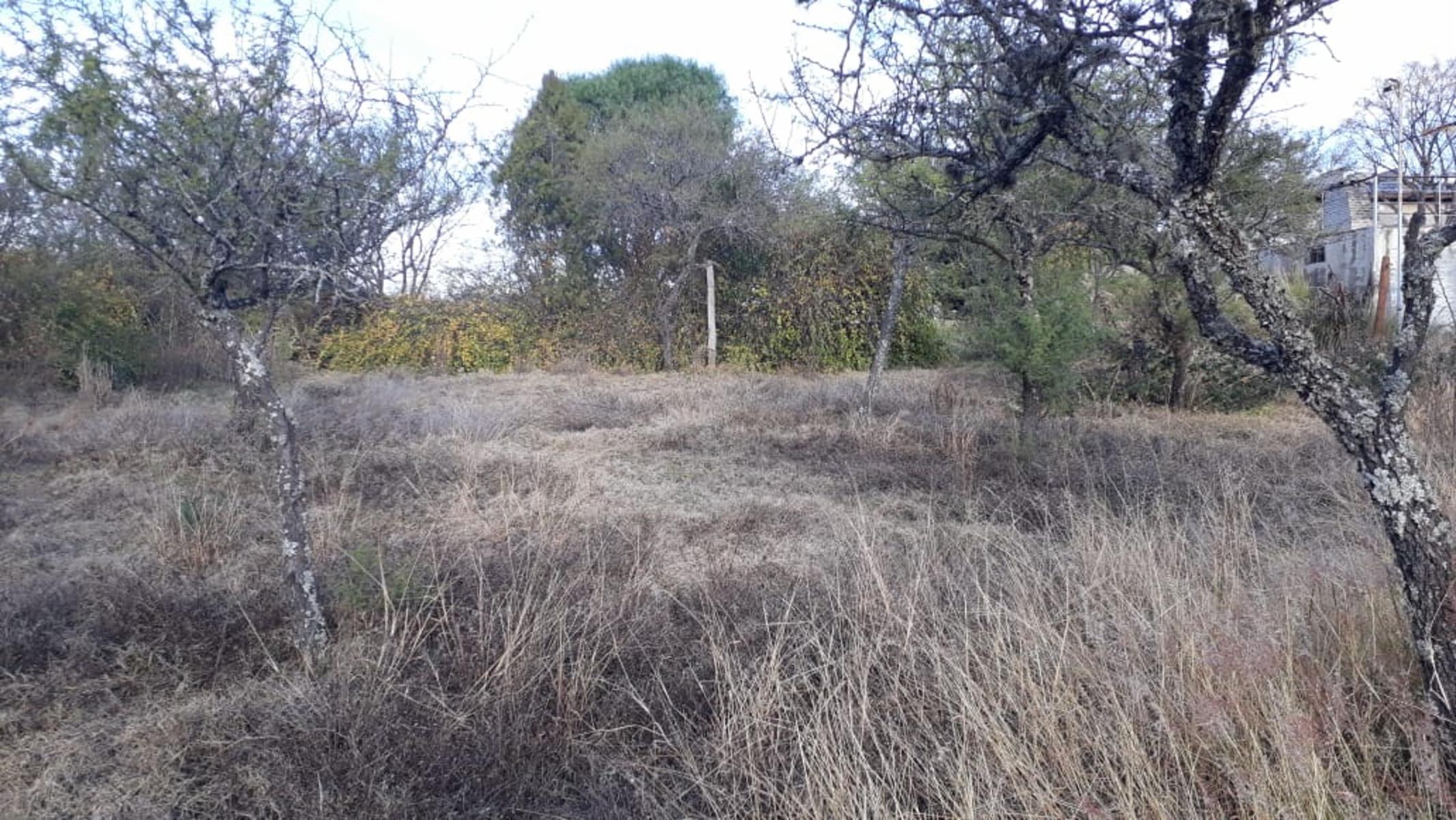 Del Vallle · Punilla — foto 7