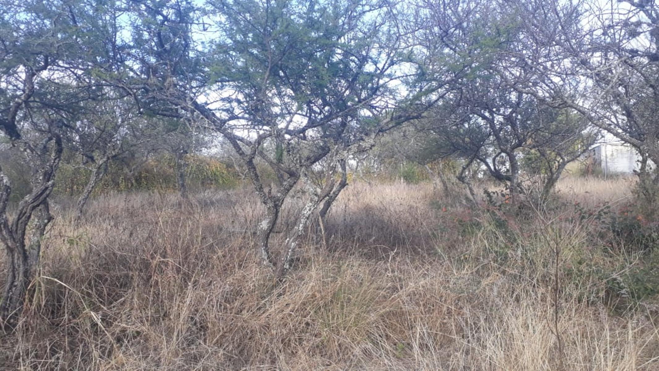 Del Vallle · Punilla — foto 8