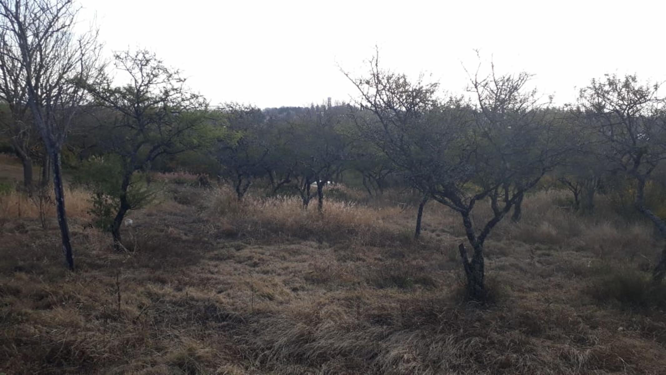 Del Vallle · Punilla — foto 9