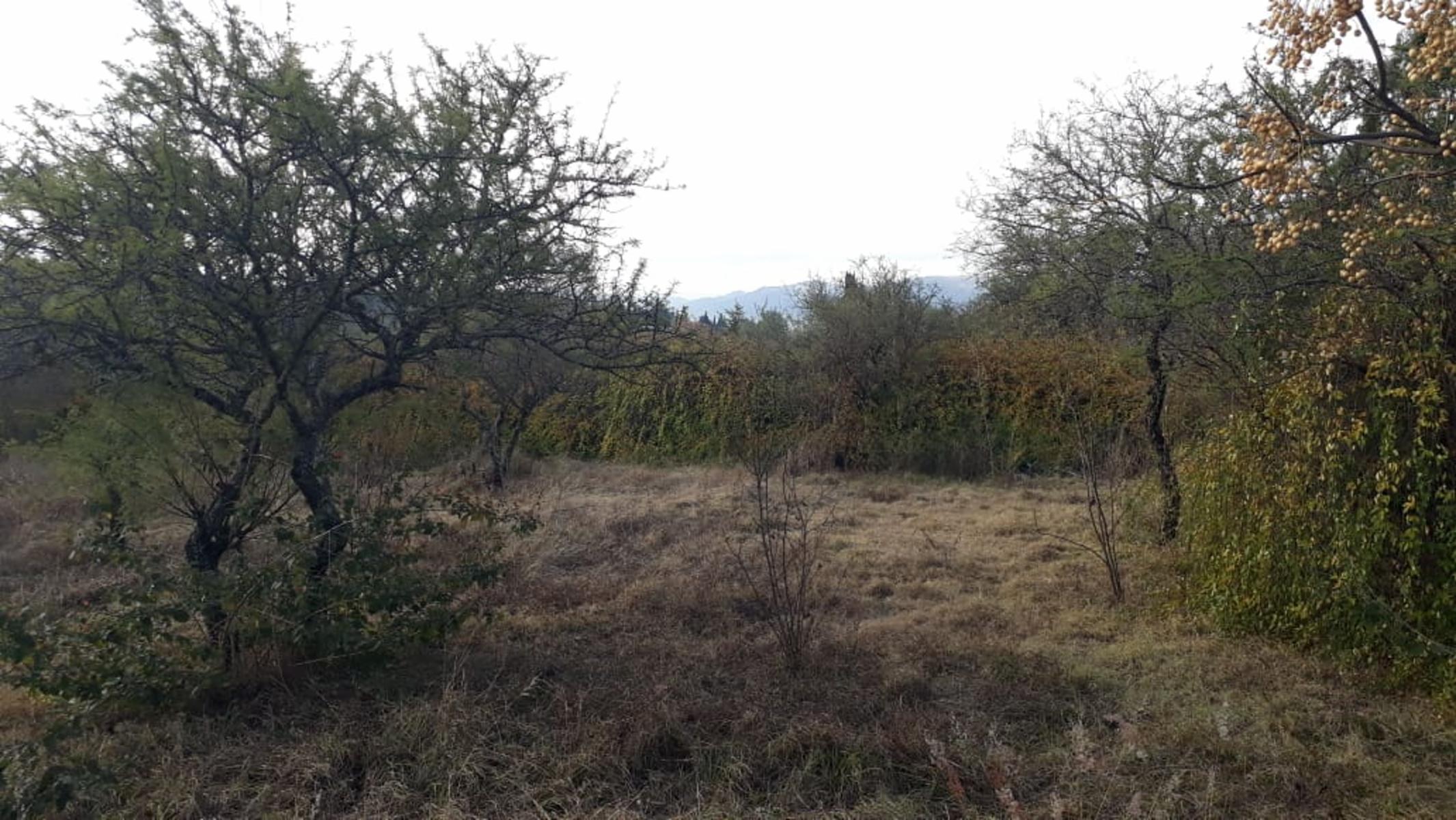 Del Vallle · Punilla — foto 10