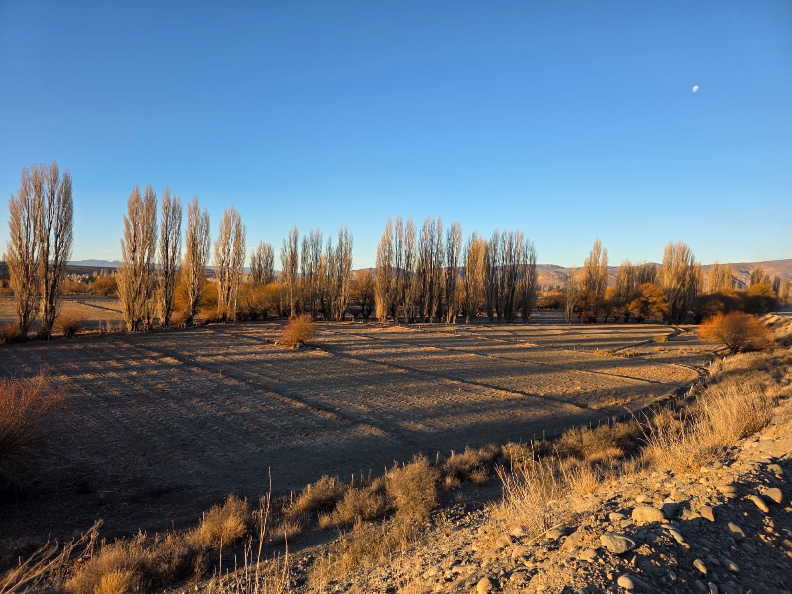 CHACRA PRODUCTIVA CON POTENCIAL TURÍSTICO EN GUALJAINA