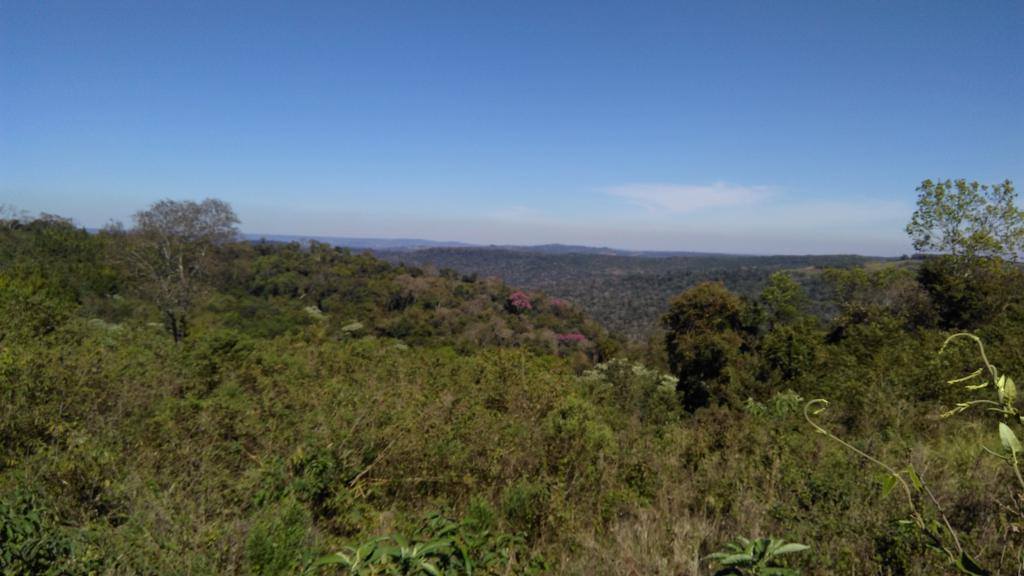 Monjon Grande · Leandro N. Alem — foto 4