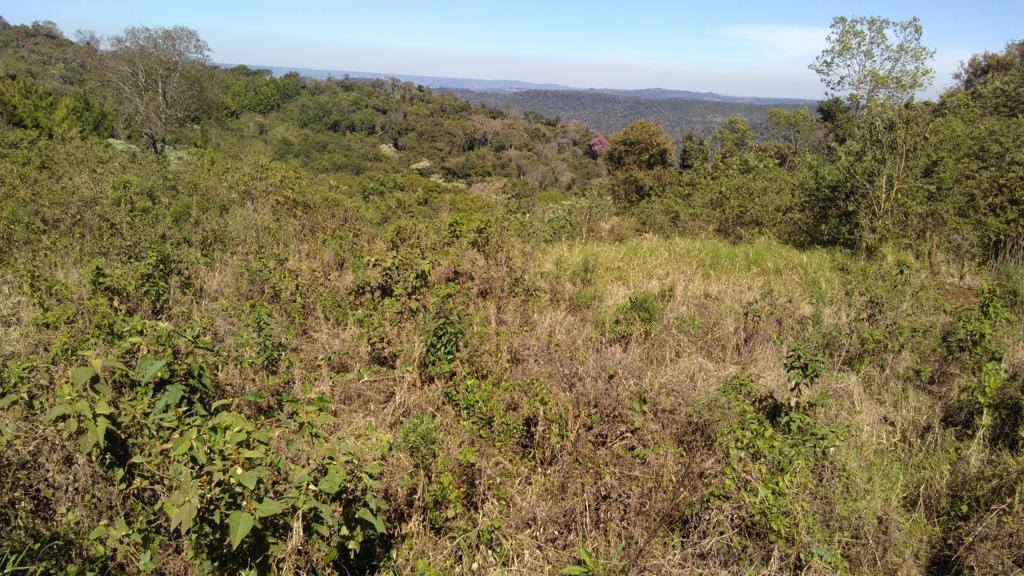 Monjon Grande · Leandro N. Alem — foto 5
