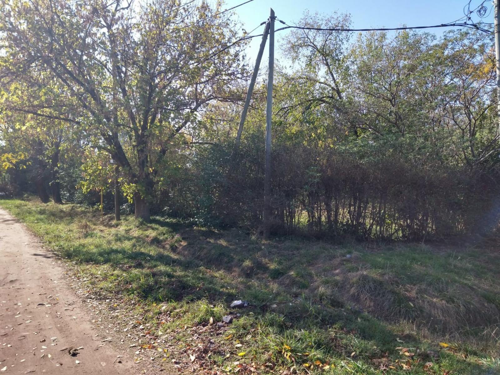 españa 2700 · Moreno — foto 3