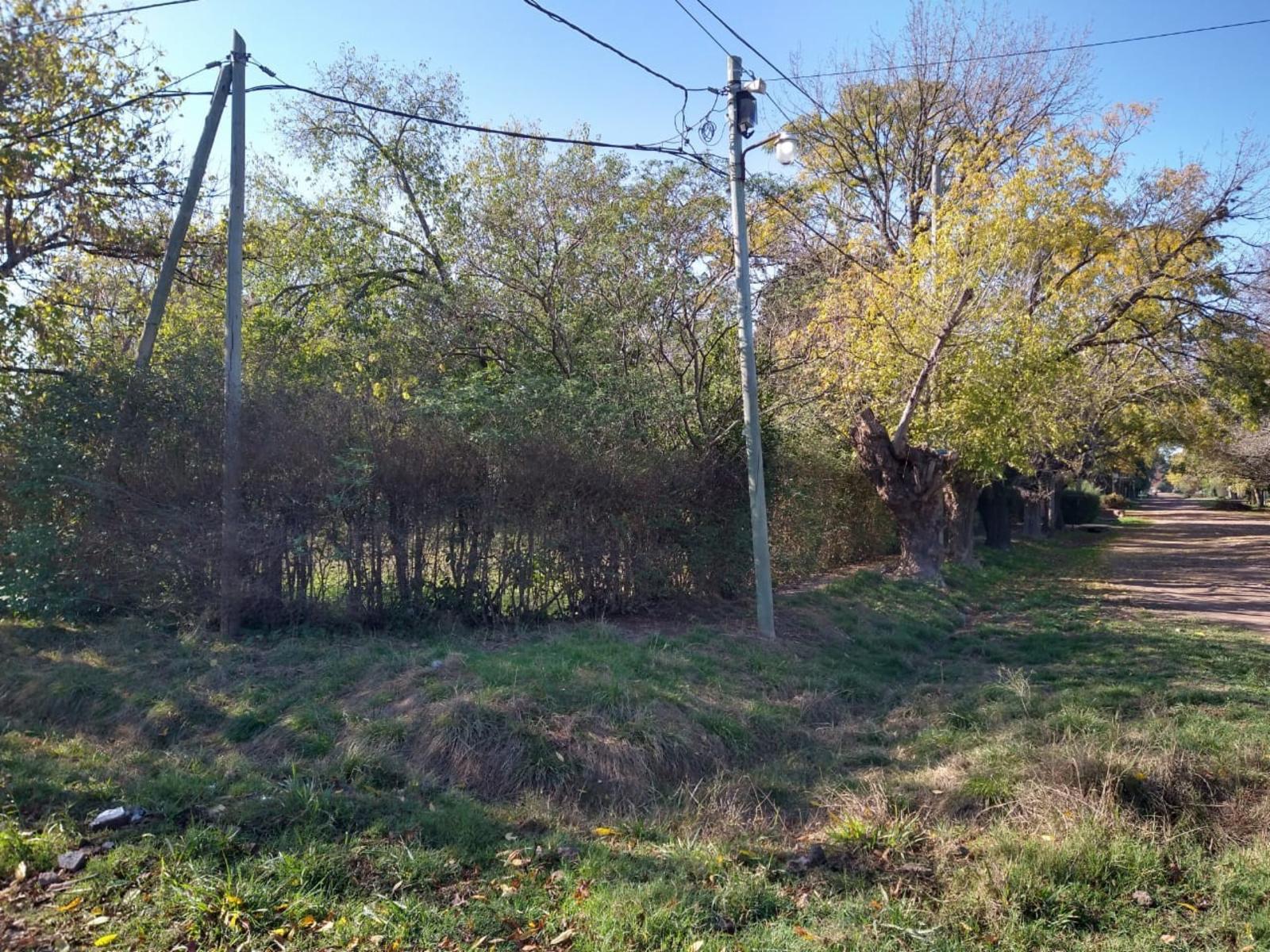 españa 2700 · Moreno — foto 6