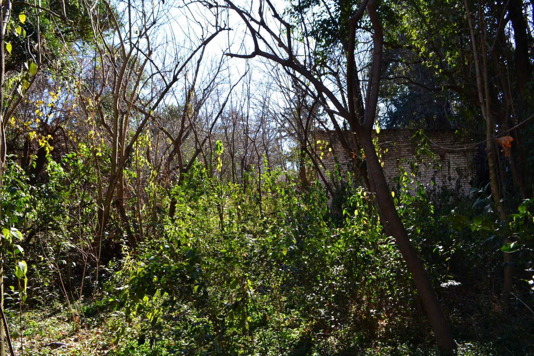Calle General Paz en Tanti · Punilla — foto 10