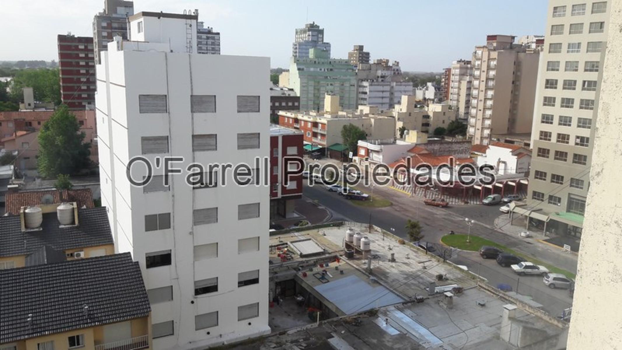 12 numero 1243 · General Alvarado — foto 5