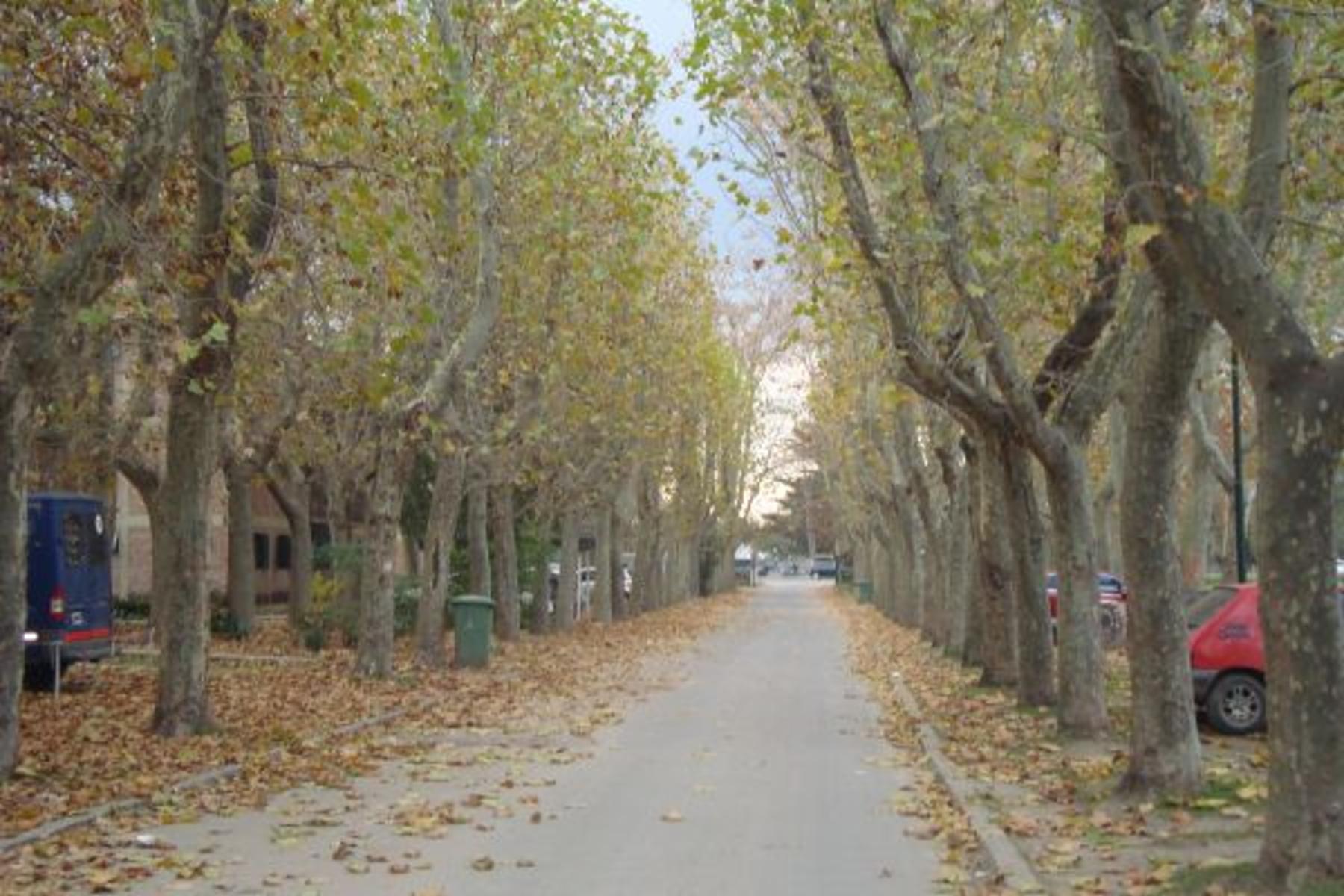 AV HIPOLITO YRIGOYEN 20270 · Almirante Brown — foto 10