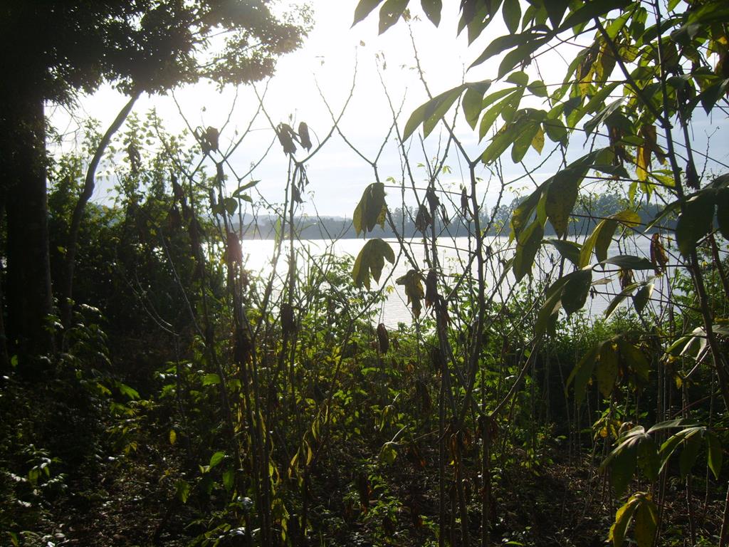 Panambí · Oberá — foto 3