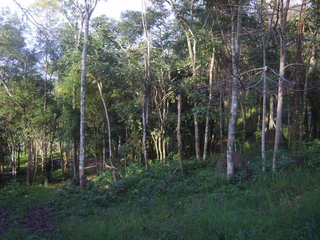 Panambí · Oberá — foto 5