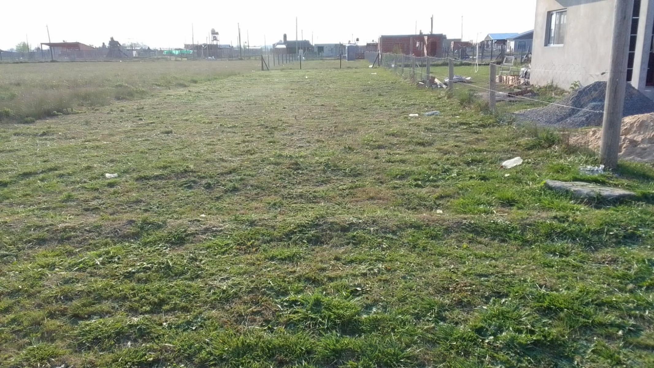 LAPRIDA 1200 · San Vicente — foto 9