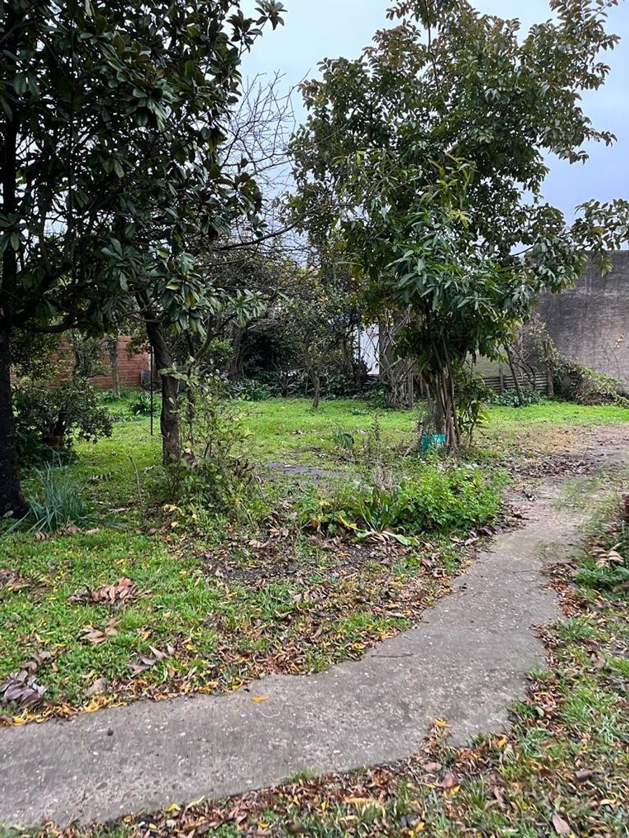 CALLE 17 · Uruguay — foto 3
