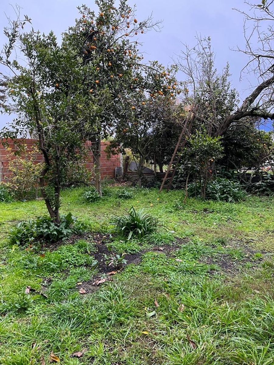 CALLE 17 · Uruguay — foto 4