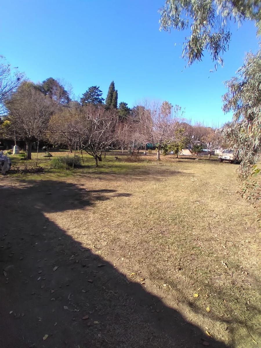 CALLE 35 · Lobos — foto 4