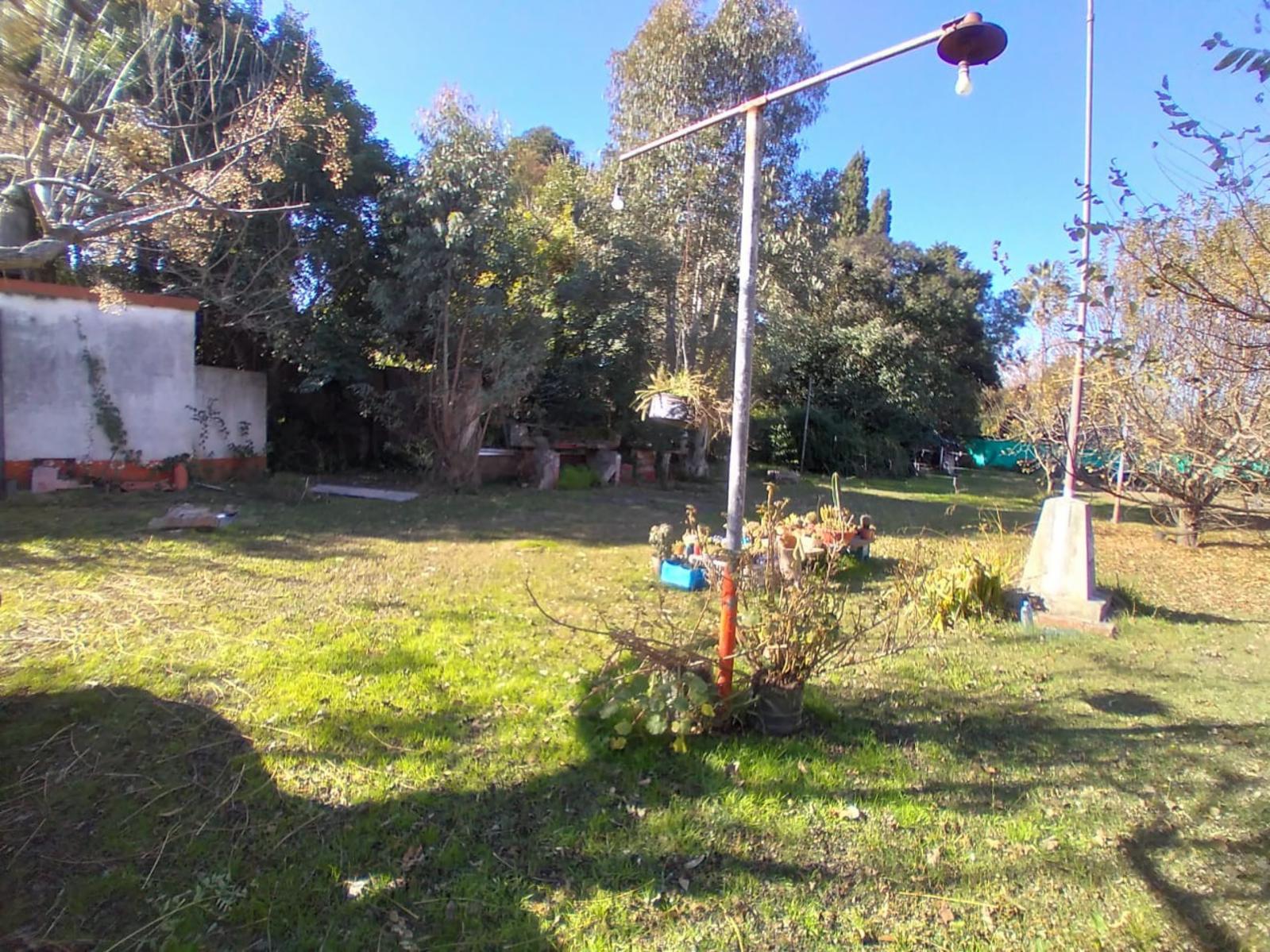 CALLE 35 · Lobos — foto 6