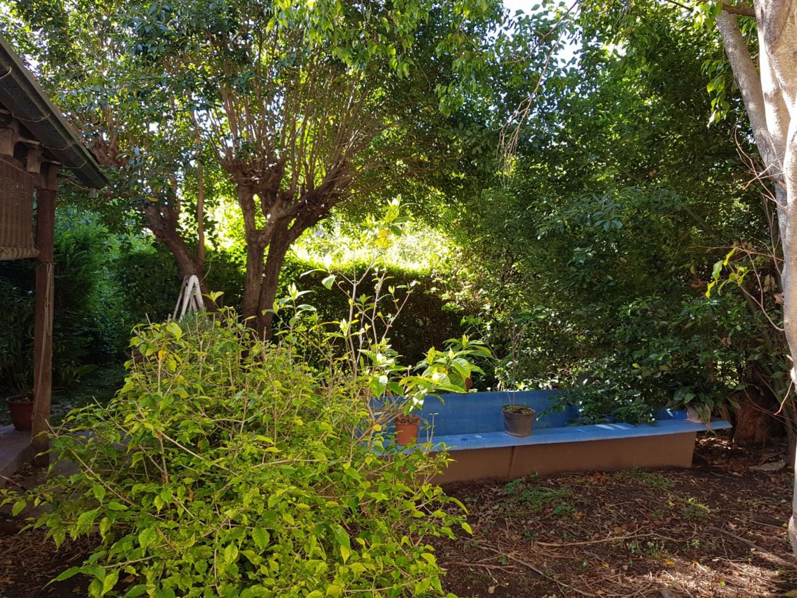 Torello · Hurlingham — foto 6