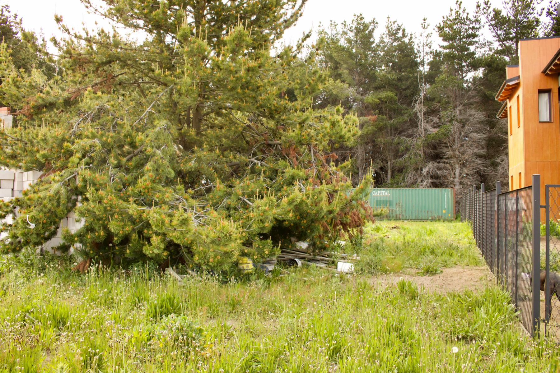 BARRIO ENTRE PINOS · Bariloche — foto 3