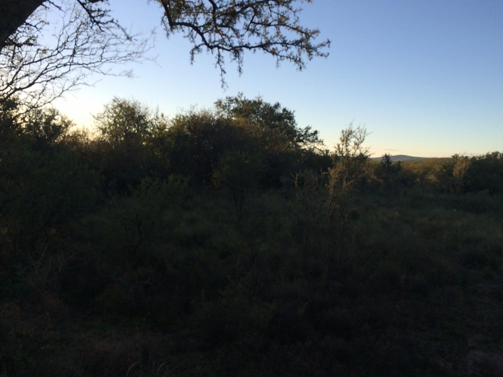 Villa de las Rosas · San Javier — foto 4