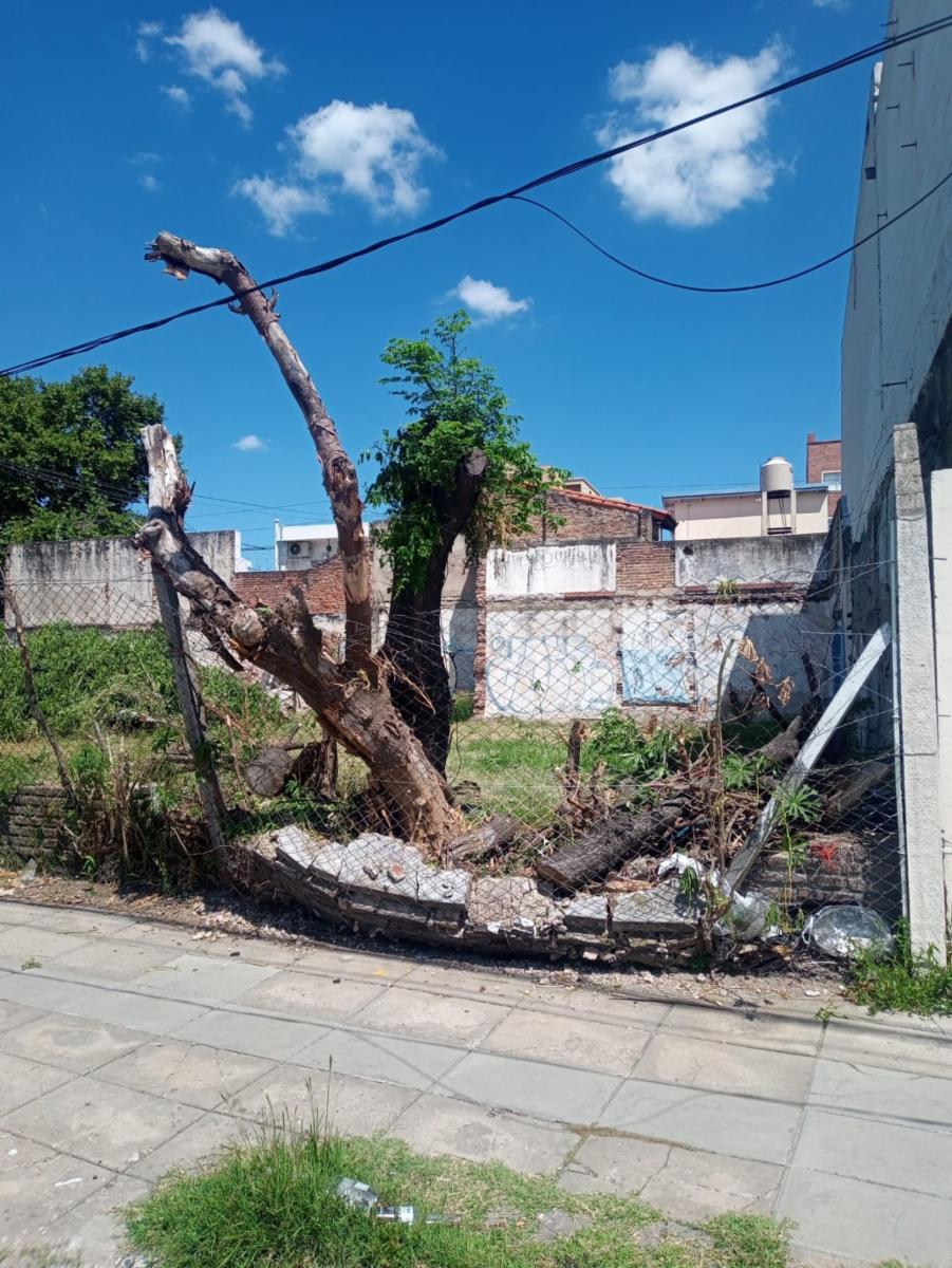 Pte. Peron y America · Morón — foto 4