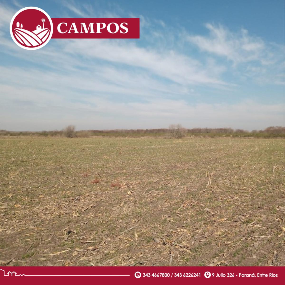 Camino a Seguí · Paraná — foto 3