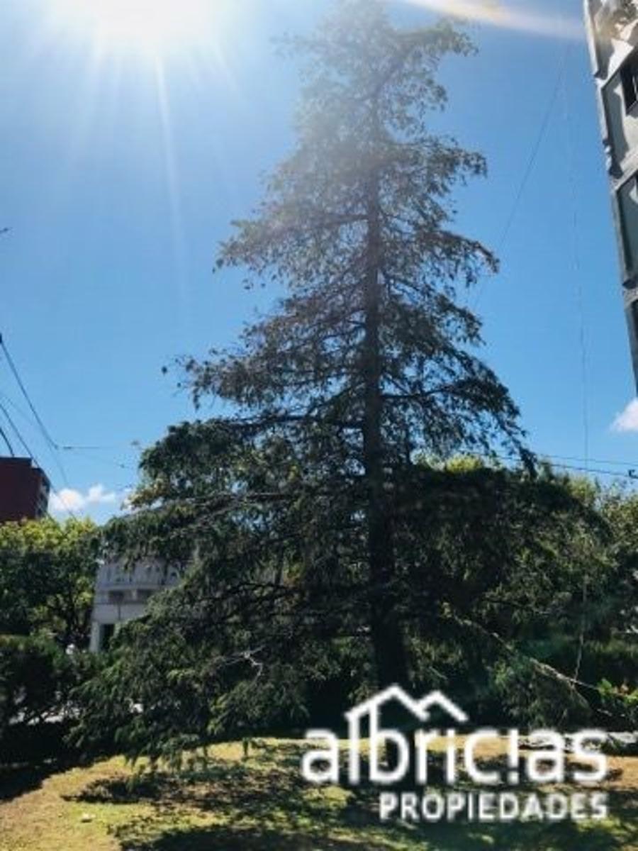 Ocampo y Buenos Aires · Rosario — foto 4
