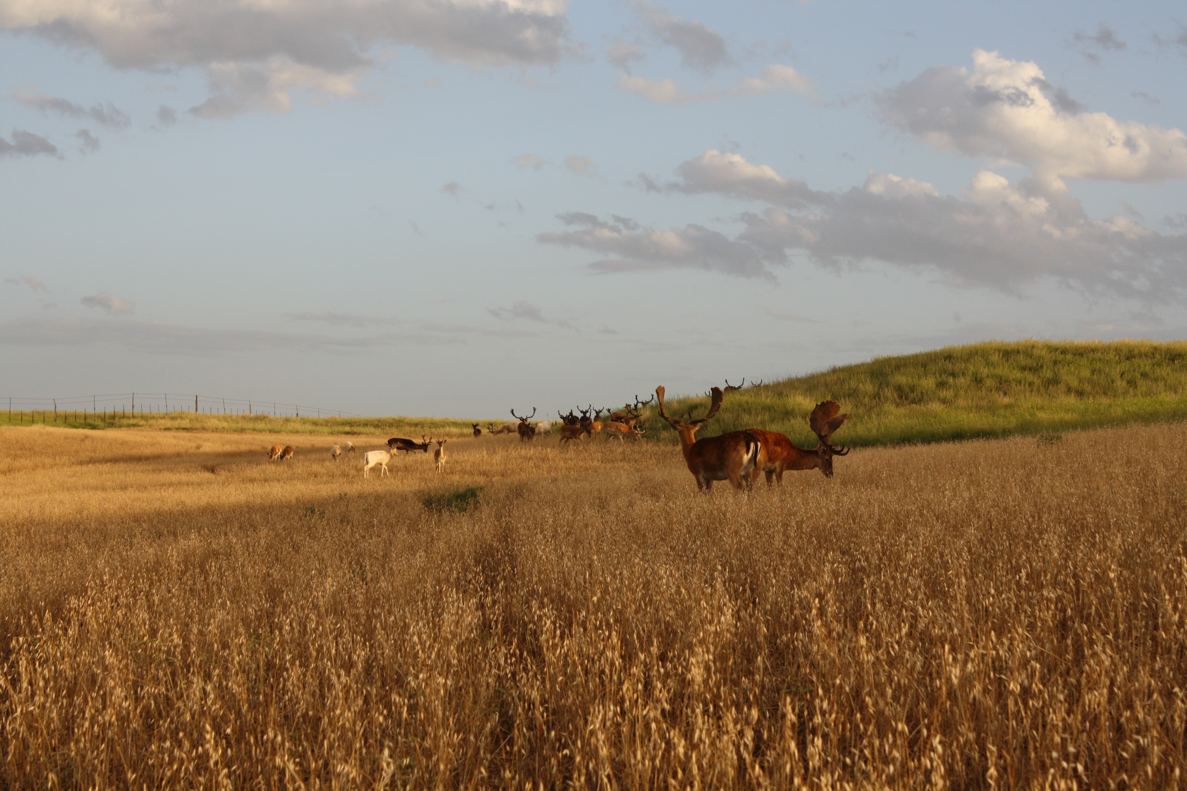RUTA PROVINCIAL 51 Y RUTA 72 · Tornquist — foto 3