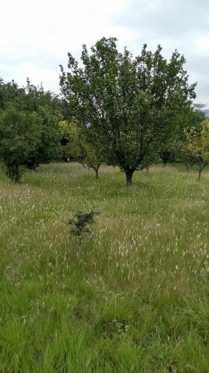 Carpinteria, San Luis. A 300 metros de ruta 1 · Junín — foto 3