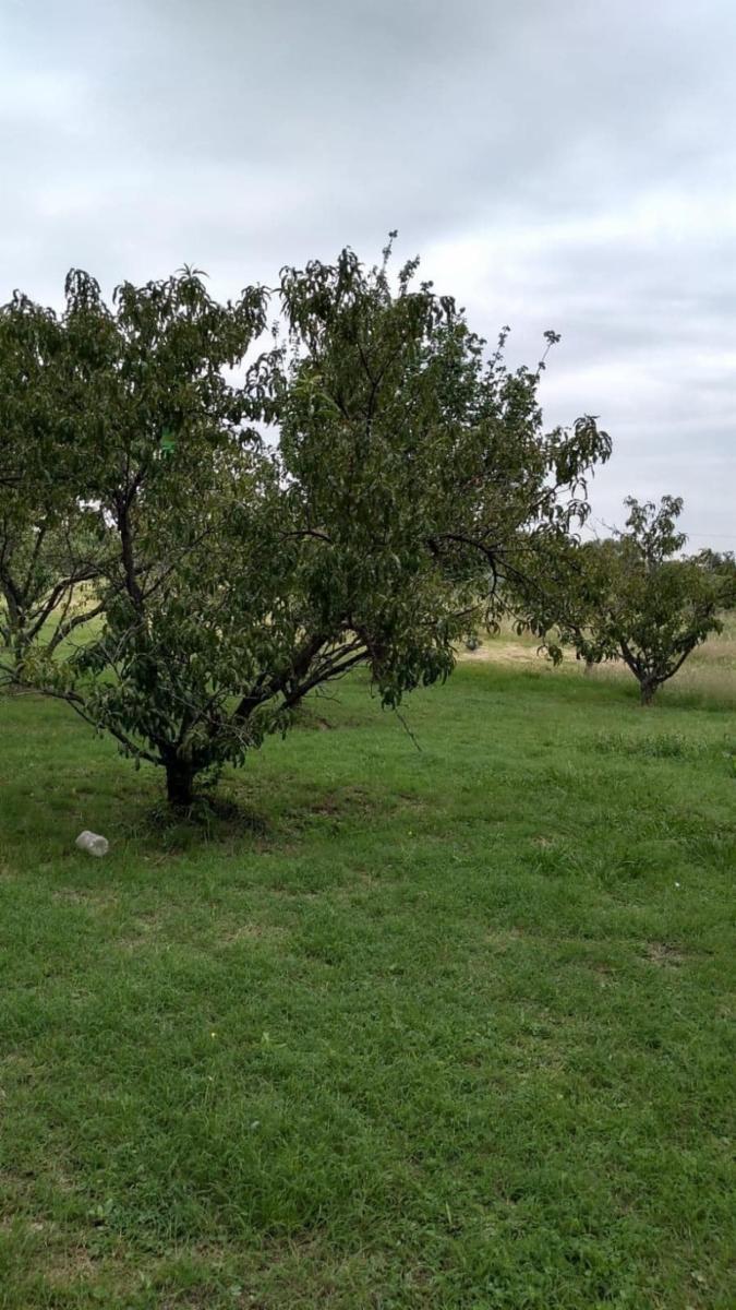 Carpinteria, San Luis. A 300 metros de ruta 1 · Junín — foto 4
